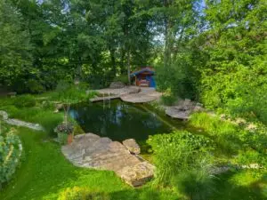Schwimmteich