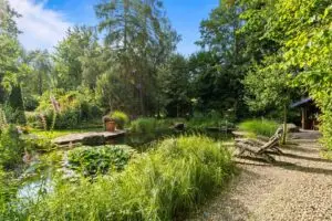 Schwimmteich