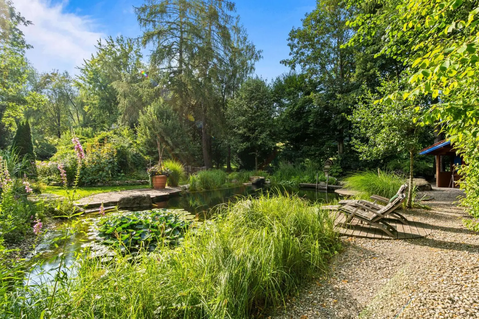 Schwimmteich